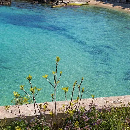 Apulianstay- La Meraviglia Sul Mare *